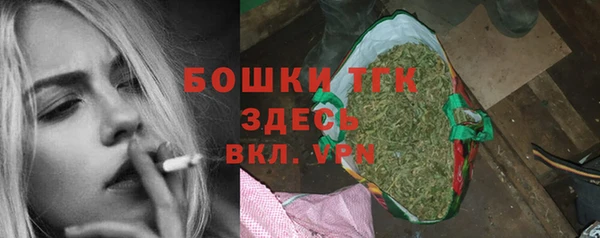 прущие грибы Богородск