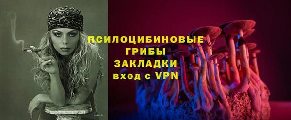 прущие грибы Богородск