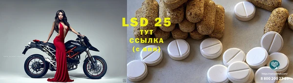 jwh Богородицк
