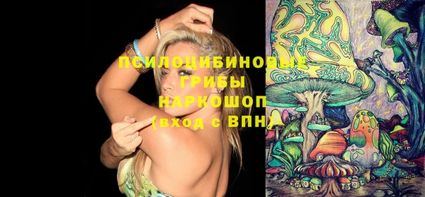 ПСИЛОЦИБИНОВЫЕ ГРИБЫ Белоозёрский