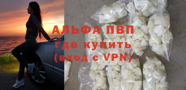 прущие грибы Богородск