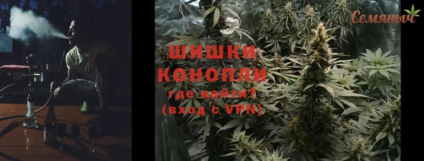 прущие грибы Богородск
